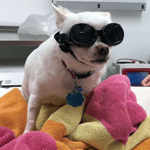 Laser Therapy