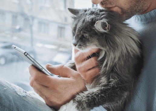 Cat with computer