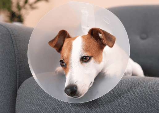 Surgery Recovery